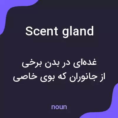 معنی scent gland به فارسی معنی scent gland به فارسی