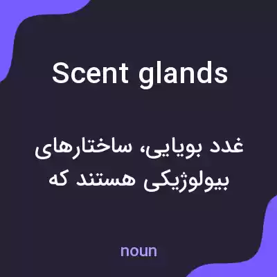 معنی scent glands به فارسی معنی scent glands به فارسی