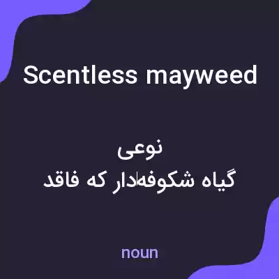 معنی scentless mayweed به فارسی معنی scentless mayweed به فارسی