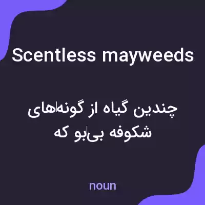 معنی scentless mayweeds به فارسی معنی scentless mayweeds به فارسی