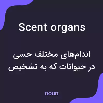 معنی scent organs به فارسی معنی scent organs به فارسی