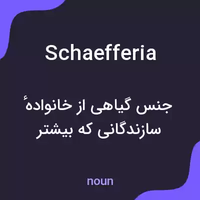 معنی schaefferia به فارسی معنی schaefferia به فارسی