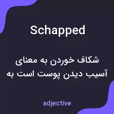 معنی schapped به فارسی معنی schapped به فارسی