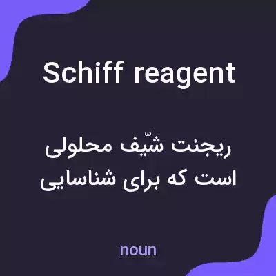 معنی schiff reagent به فارسی معنی schiff reagent به فارسی