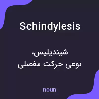 معنی schindylesis به فارسی معنی schindylesis به فارسی