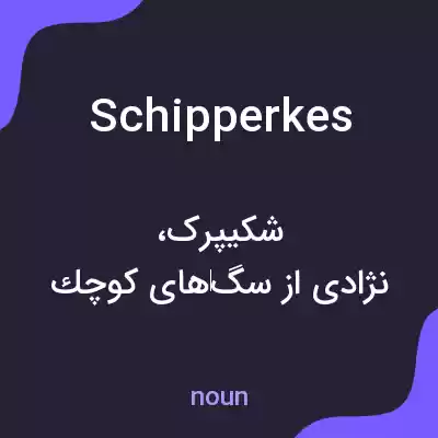 معنی schipperkes به فارسی معنی schipperkes به فارسی