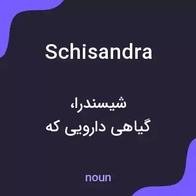 معنی schisandra به فارسی معنی schisandra به فارسی