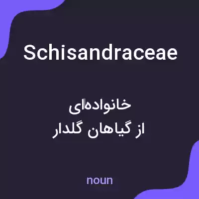 معنی schisandraceae به فارسی معنی schisandraceae به فارسی