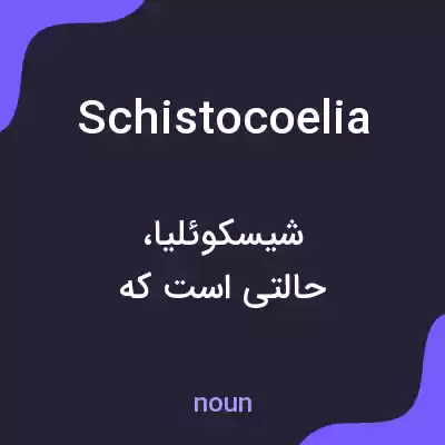 معنی schistocoelia به فارسی معنی schistocoelia به فارسی