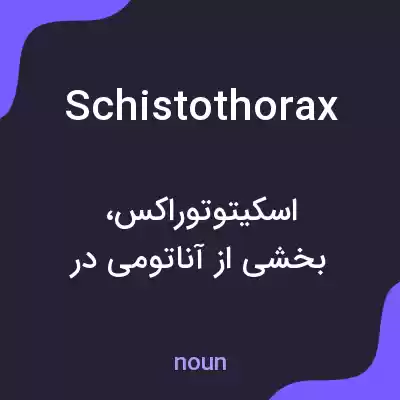 معنی schistothorax به فارسی معنی schistothorax به فارسی