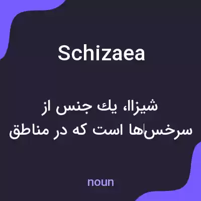 معنی schizaea به فارسی معنی schizaea به فارسی
