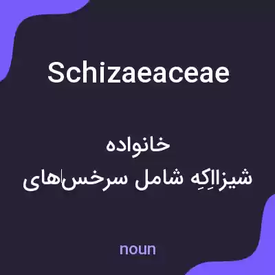 معنی schizaeaceae به فارسی معنی schizaeaceae به فارسی