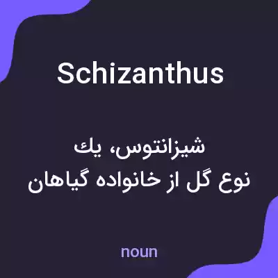 معنی schizanthus به فارسی معنی schizanthus به فارسی