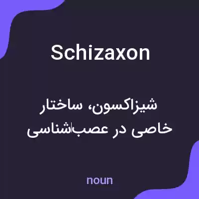 معنی schizaxon به فارسی معنی schizaxon به فارسی