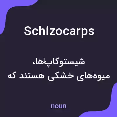 معنی schizocarps به فارسی معنی schizocarps به فارسی