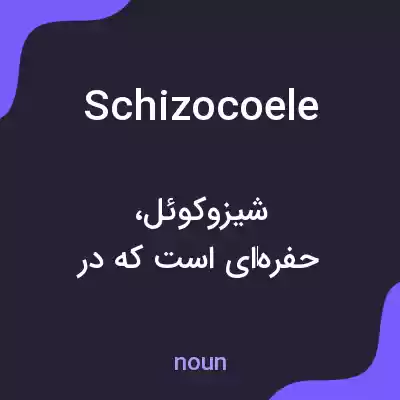 معنی schizocoele به فارسی معنی schizocoele به فارسی