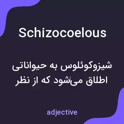 معنی schizocoelous به فارسی