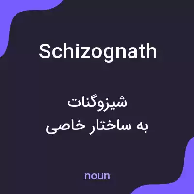 معنی schizognath به فارسی