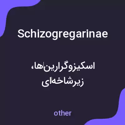 معنی schizogregarinae به فارسی معنی schizogregarinae به فارسی