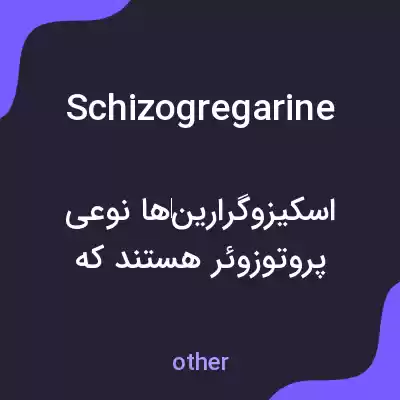 معنی schizogregarine به فارسی معنی schizogregarine به فارسی