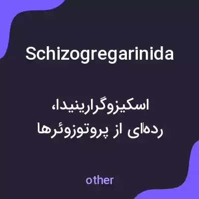 معنی schizogregarinida به فارسی معنی schizogregarinida به فارسی