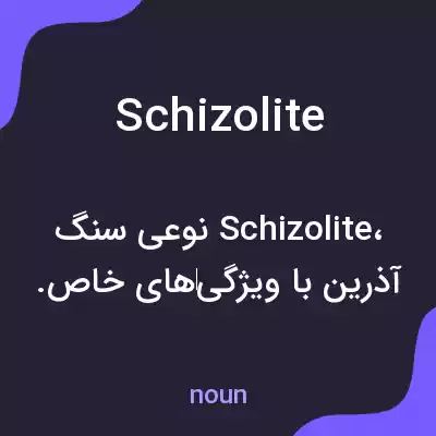 معنی schizolite به فارسی معنی schizolite به فارسی
