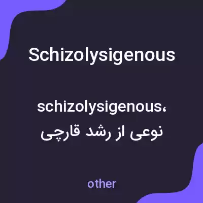 معنی schizolysigenous به فارسی معنی schizolysigenous به فارسی