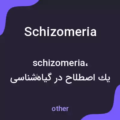 معنی schizomeria به فارسی معنی schizomeria به فارسی