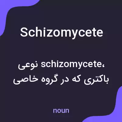 معنی schizomycete به فارسی معنی schizomycete به فارسی