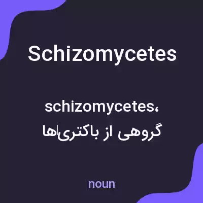 معنی schizomycetes به فارسی معنی schizomycetes به فارسی