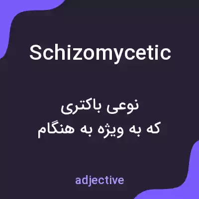 معنی schizomycetic به فارسی معنی schizomycetic به فارسی