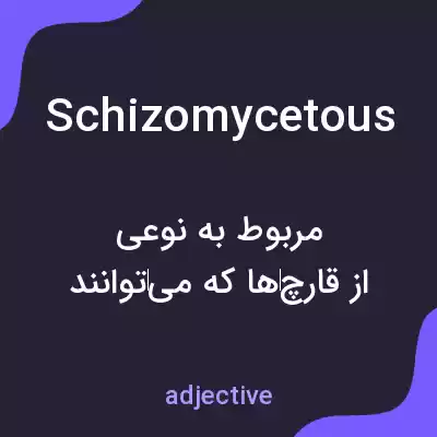 معنی schizomycetous به فارسی معنی schizomycetous به فارسی