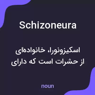 معنی schizoneura به فارسی معنی schizoneura به فارسی