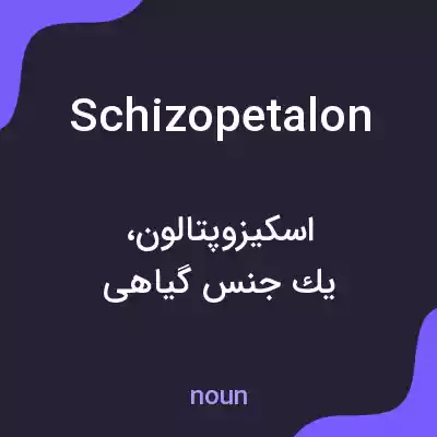 معنی schizopetalon به فارسی معنی schizopetalon به فارسی