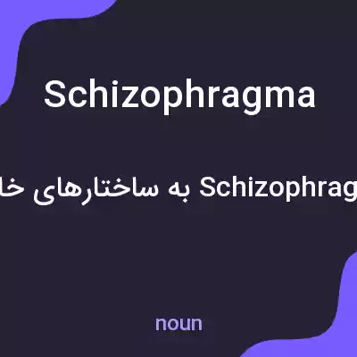 معنی schizophragma به فارسی معنی schizophragma به فارسی