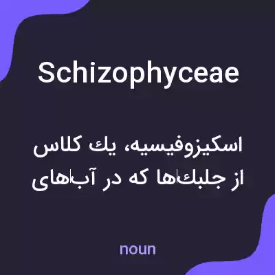 معنی schizophyceae به فارسی معنی schizophyceae به فارسی