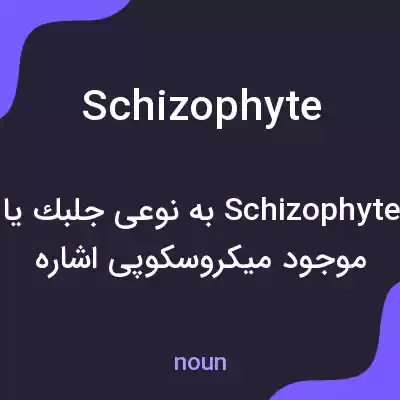 معنی schizophyte به فارسی معنی schizophyte به فارسی