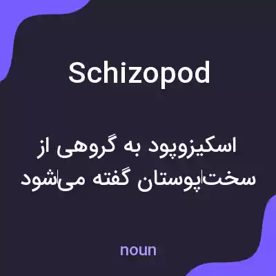 معنی schizopod به فارسی معنی schizopod به فارسی
