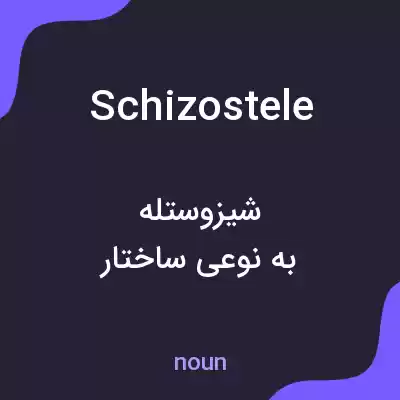 معنی schizostele به فارسی معنی schizostele به فارسی