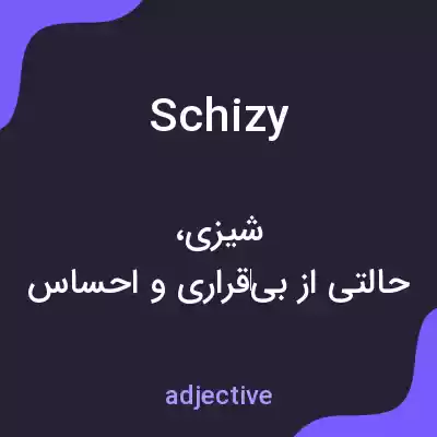 معنی schizy به فارسی معنی schizy به فارسی