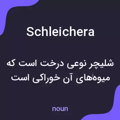 معنی schleichera به فارسی معنی schleichera به فارسی