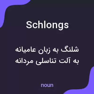معنی schlongs به فارسی معنی schlongs به فارسی