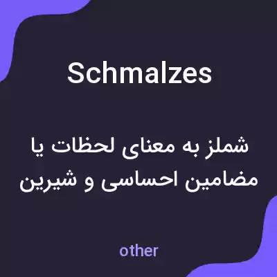 معنی schmalzes به فارسی معنی schmalzes به فارسی