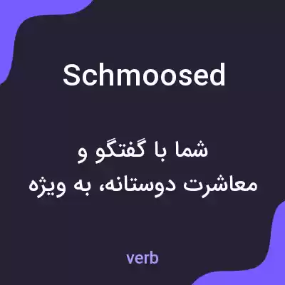 معنی schmoosed به فارسی معنی schmoosed به فارسی