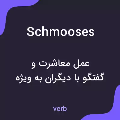 معنی schmooses به فارسی معنی schmooses به فارسی