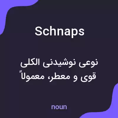 معنی schnaps به فارسی معنی schnaps به فارسی