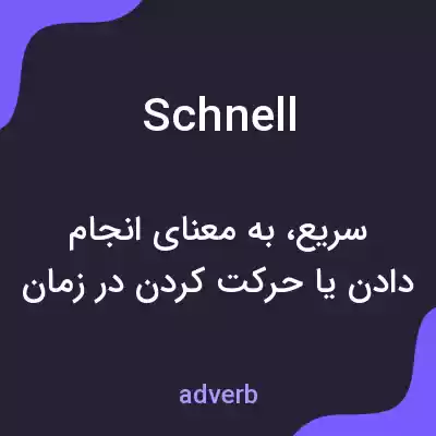 معنی schnell به فارسی