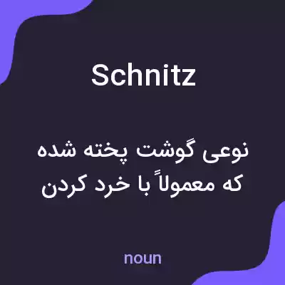 معنی schnitz به فارسی معنی schnitz به فارسی