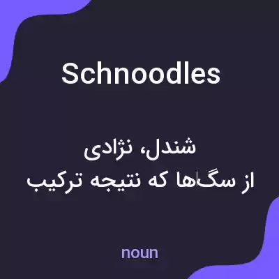 معنی schnoodles به فارسی معنی schnoodles به فارسی