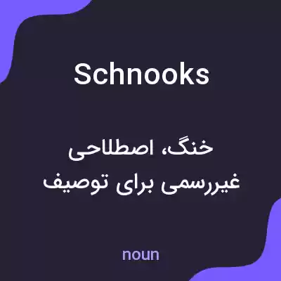 معنی schnooks به فارسی معنی schnooks به فارسی